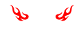 Carneo logo